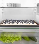 ICc 5123 Plus LIEBHERR Frigo Incasso